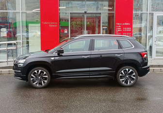 Новый Skoda Karoq 2025 (8 фото)