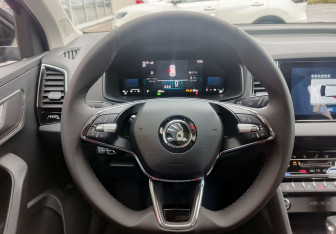 Новый Skoda Karoq 2025 (19 фото)